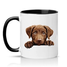 Chocolate Labrador Puppy