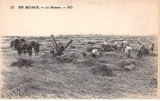 28 - IN Beauce - SAN31890 - La