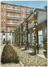 ABANO TERME - PADOVA - TERME VILLA PIAVE - FIORITA D'IPOMEA MESSICANA -78562-