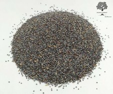 Semi di papavero blu interi