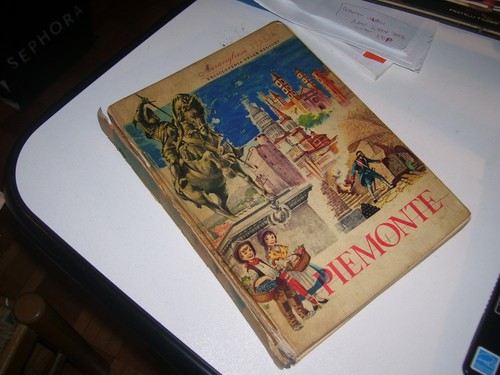 Libro meravigliosa italia - meravigliosa,