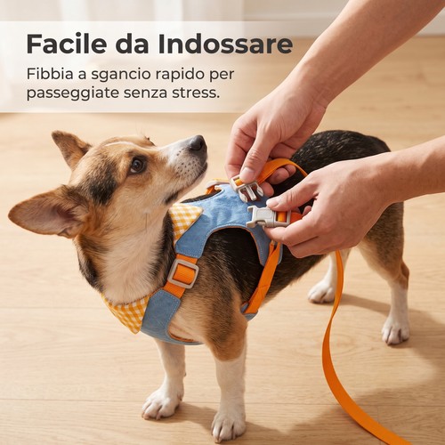 Pettorina per cani - pettorina, piccoli
