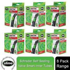 Slime Bike Tubi Interni