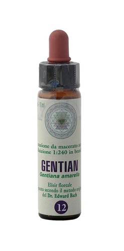 Gentian princeps fiori - gentian,