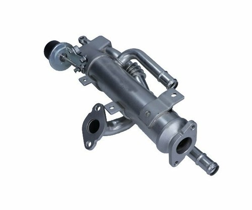 Maxgear radiatore ricircolo - radiatore,