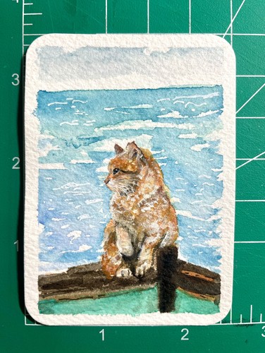 Acquerello originale aceo - acquerello,