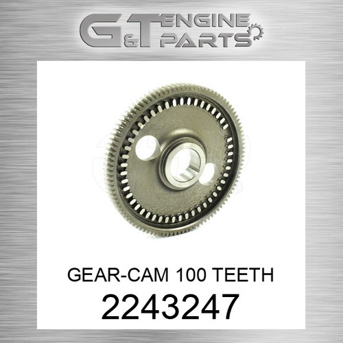 2243247 gear cam 100 - 100, denti