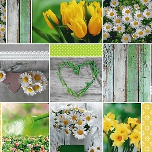 Tovaglia tela cerata fiori
