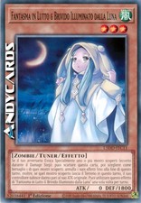 FANTASMA IN LUTTO & BRIVIDO