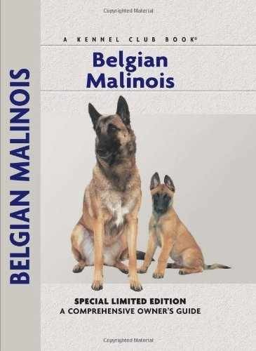 Belgian malinois - belgian,
