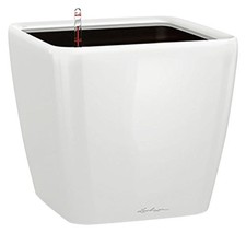 (TG. 28 x 28cm; altezza: 26cm)