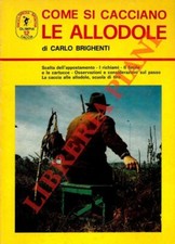 BRIGHENTI Carlo - Come si