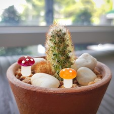  20 Pcs Funghetti Decorativi