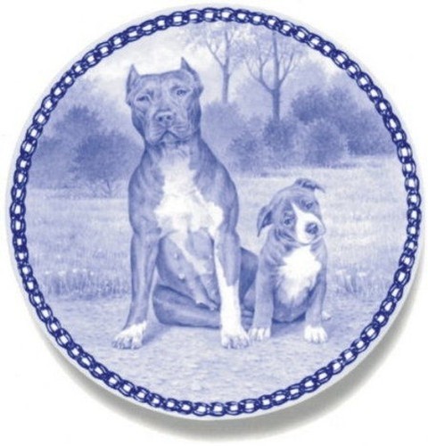 New ovp pit bull terrier - bull,