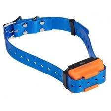 Collare blu di addestramento