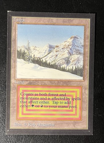 Taiga edizione collezione - da,
