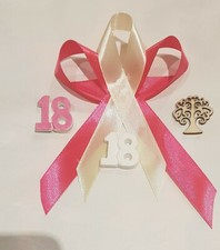 20 Segna Posto 18 Anni Fucsia 