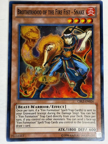 Brotherhood the fire fist - fire,