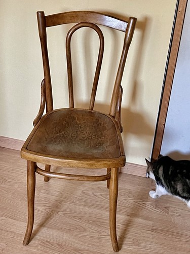 Sedia originale thonet - sedia,