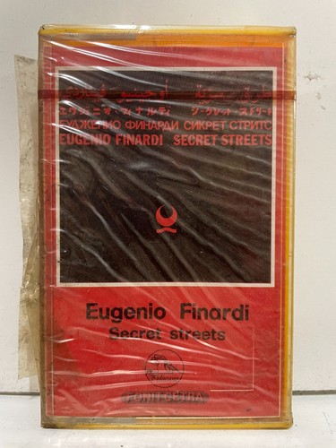 Eugenio finardi secret - finardi,
