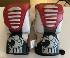 Guantoni da boxe professionali