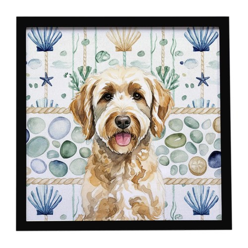 Labradoodle giallo mare