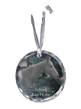 Cavallo da corsa in pensione