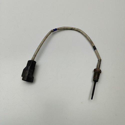 Sensore temperatura gas