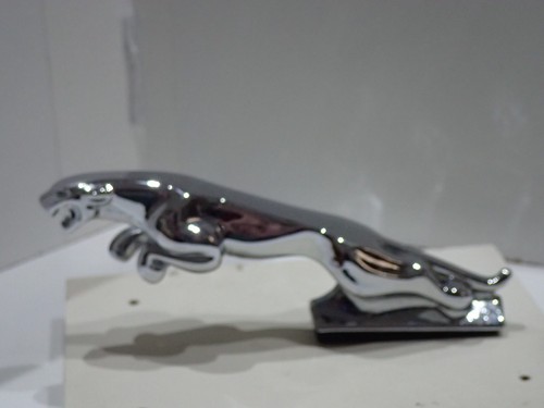 Jaguar mascotte fregio stemma - jaguar,