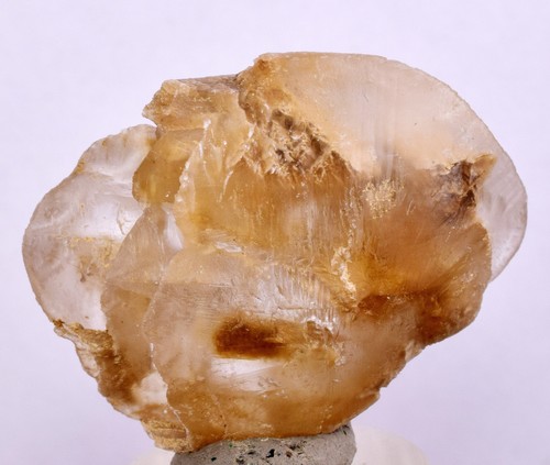 Moneta dollaro selenite - moneta, cm