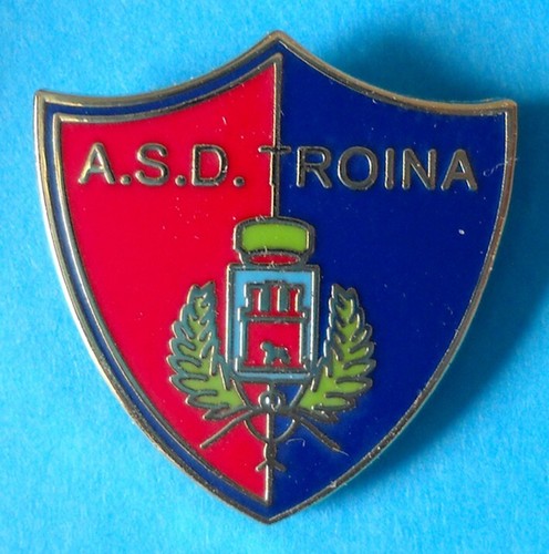 Distintivo spilla pin - distintivo, badge