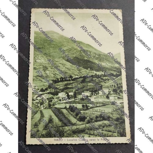 Cartolina tarzo località - cartolina,