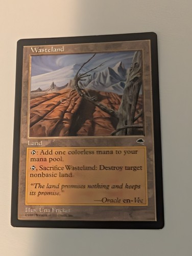 Wasteland tempest regolare - wasteland,