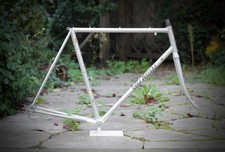 Telaio professionale Eddy Merckx / 58 cm / argento / Columbus SLX #VELOWIZARD