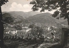 ea571 cartolina maresca