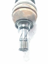 semiasse anteriore sinistra