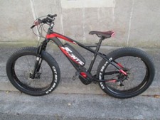 Bicicletta elettrica