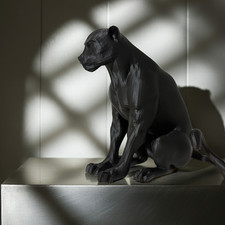 Pantera Nera Giardino