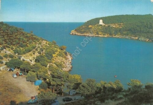 Cartolina vieste gargano - cartolina, baia
