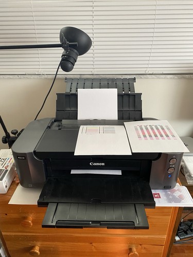 Canon pixma pro pigment ink - pixma,