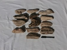Legno di mare largo