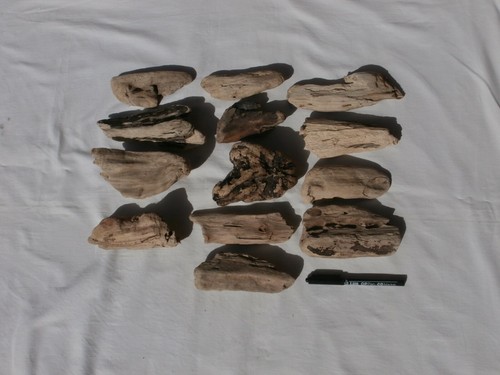 Legno mare largo - legno,