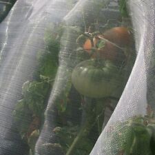 Rete ombreggiante antiafidi anti insetti mosca cimici ortaggi frutta alberi 