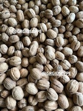 3 KG NOCI intere SORRENTO BIO