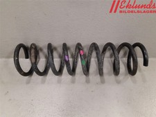 Molla spirale posteriore