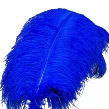 Piume di Struzzo,3pezzi blu