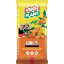 VIGOR PLANT | TERRICCIO