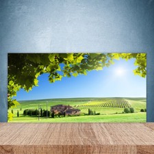 Paraschizzi Retrofornelli Cucina 100x50 Campo Foglie Paesaggio Decorazione