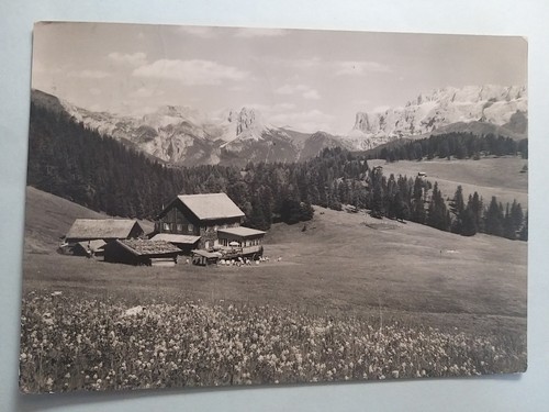 Alpe siusi - alpe,