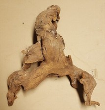 mangrovia radice legno acquario terrario tronco nascondiglio pesci